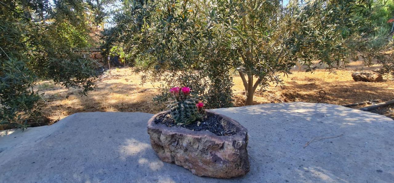 Vivienda Vacacional La Morada El Paso Dış mekan fotoğraf