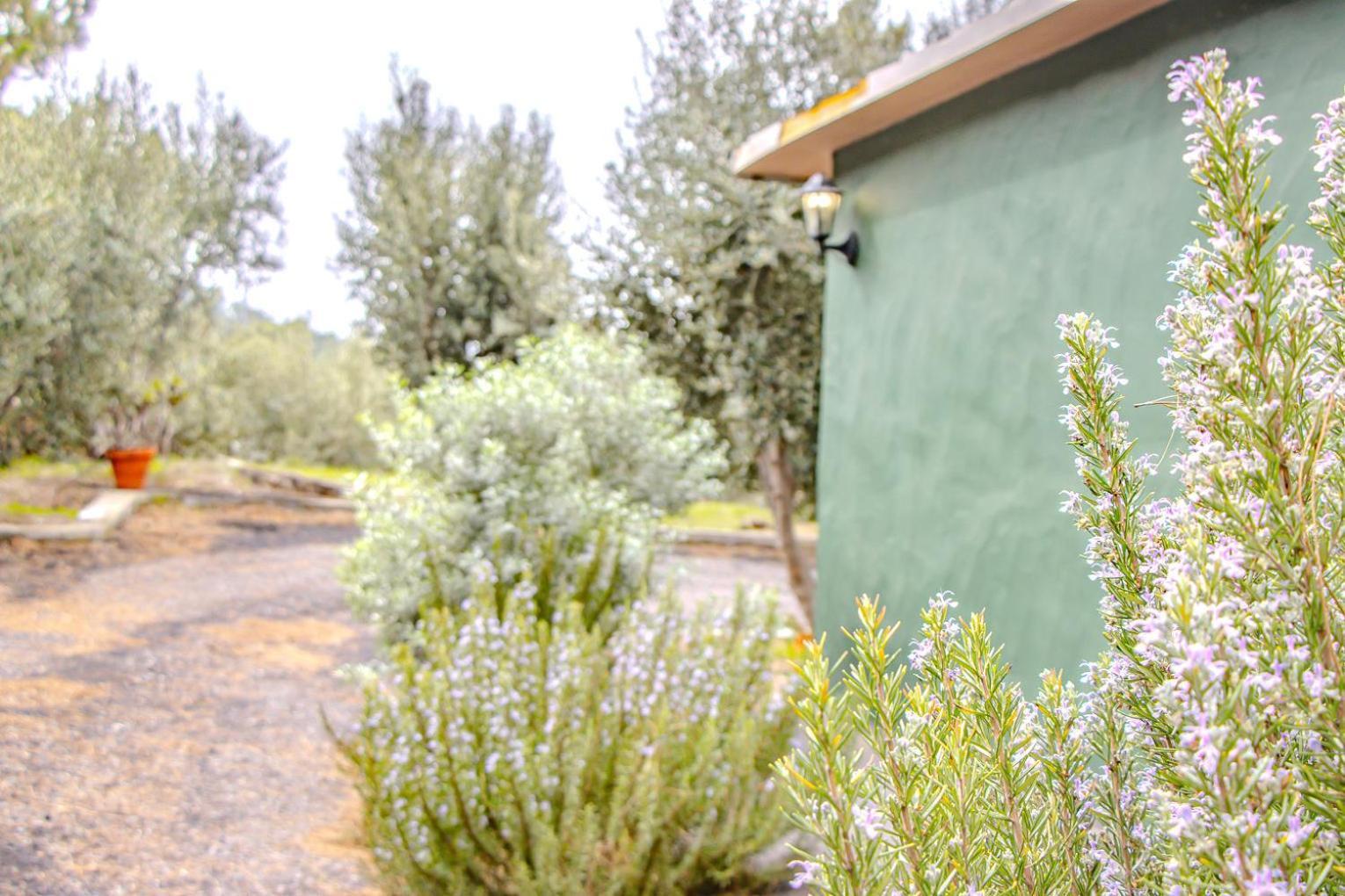 Vivienda Vacacional La Morada El Paso Dış mekan fotoğraf